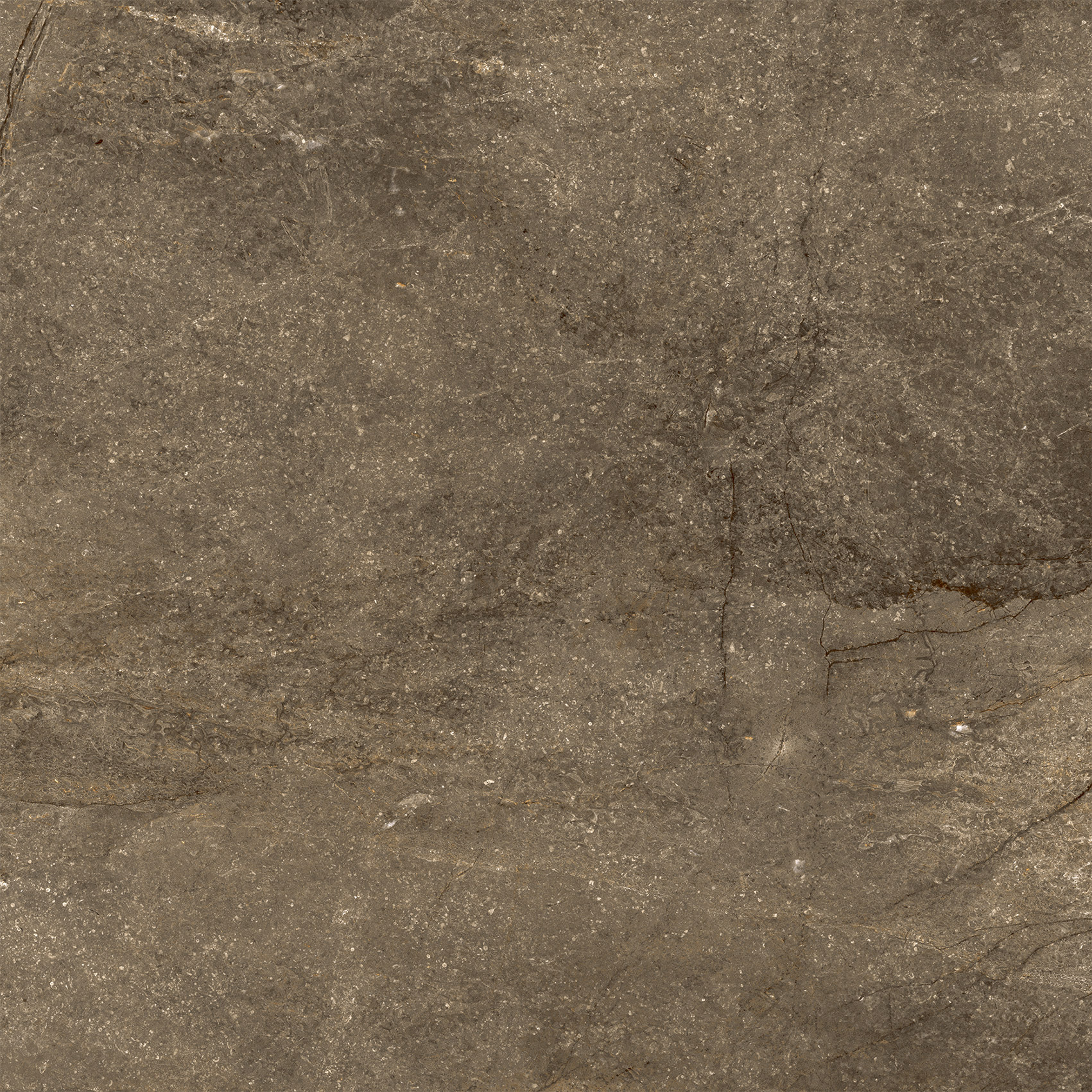 Wells Moka 5x5  Blank