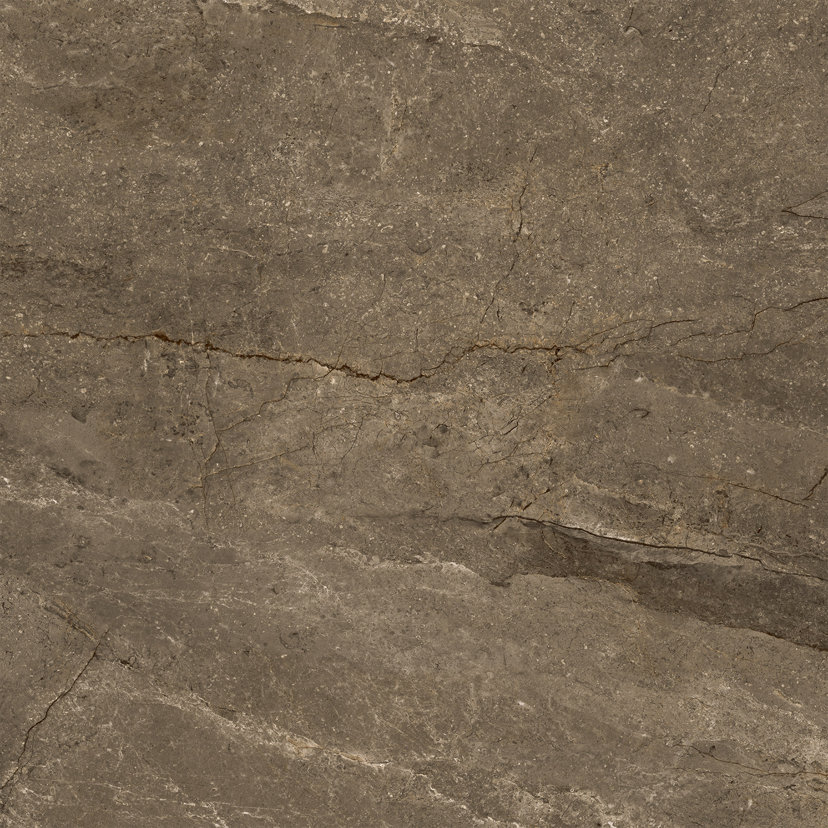 Wells Moka 5x5  Matt